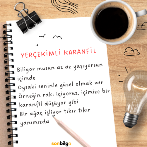 "Yerçekimli Karanfil" - Edip Cansever