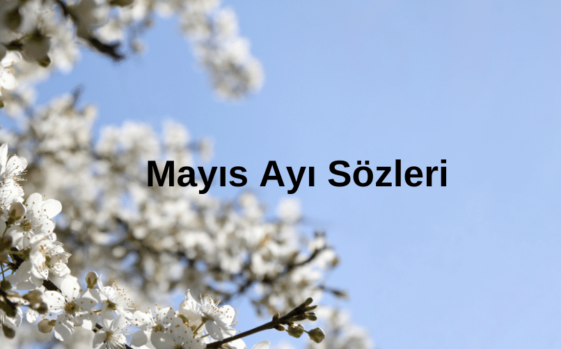 Mayıs Ayı Sözleri | Mayıs Ayı ile İlgili En İyi Sözler