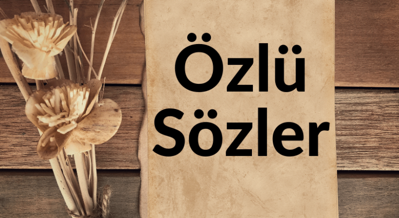 Özlü Sözler | Büyük Düşünürlerden Düşündürücü, Öğretici Özlü Sözler